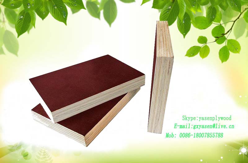 Film Faced Plywood for Concrete Formwork